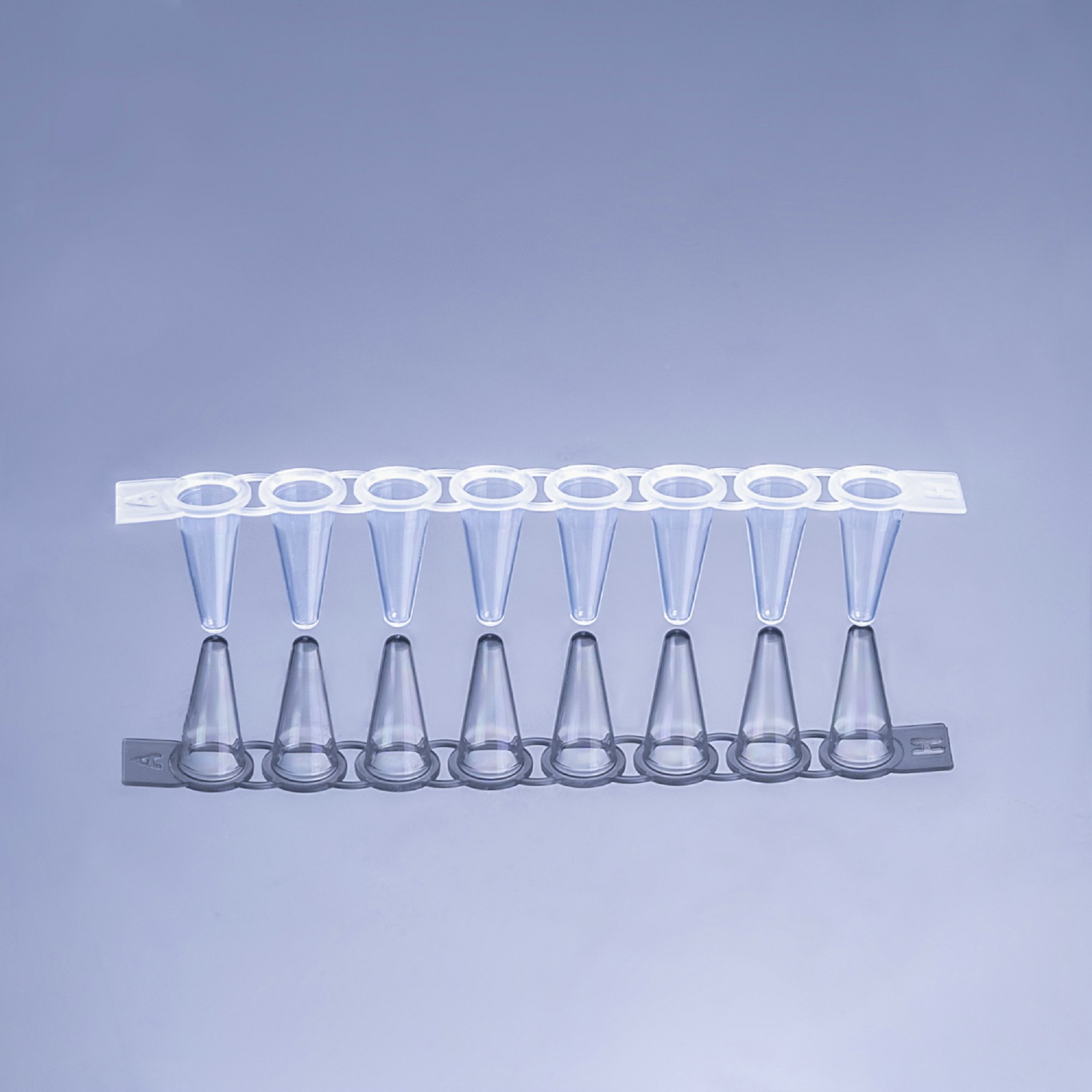 100μL，PCR 八连管、透明